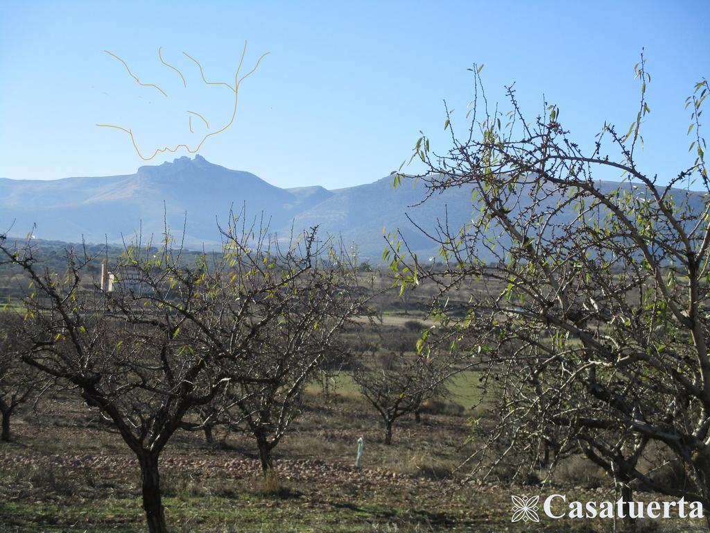Casa Tuerta Villa Alcalá de Moncayo Exteriör bild